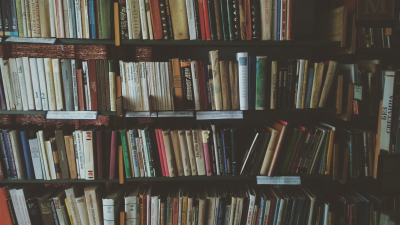 librairie-VILLEFRANCHE SUR MER-min_bookcase-1869616 (1)